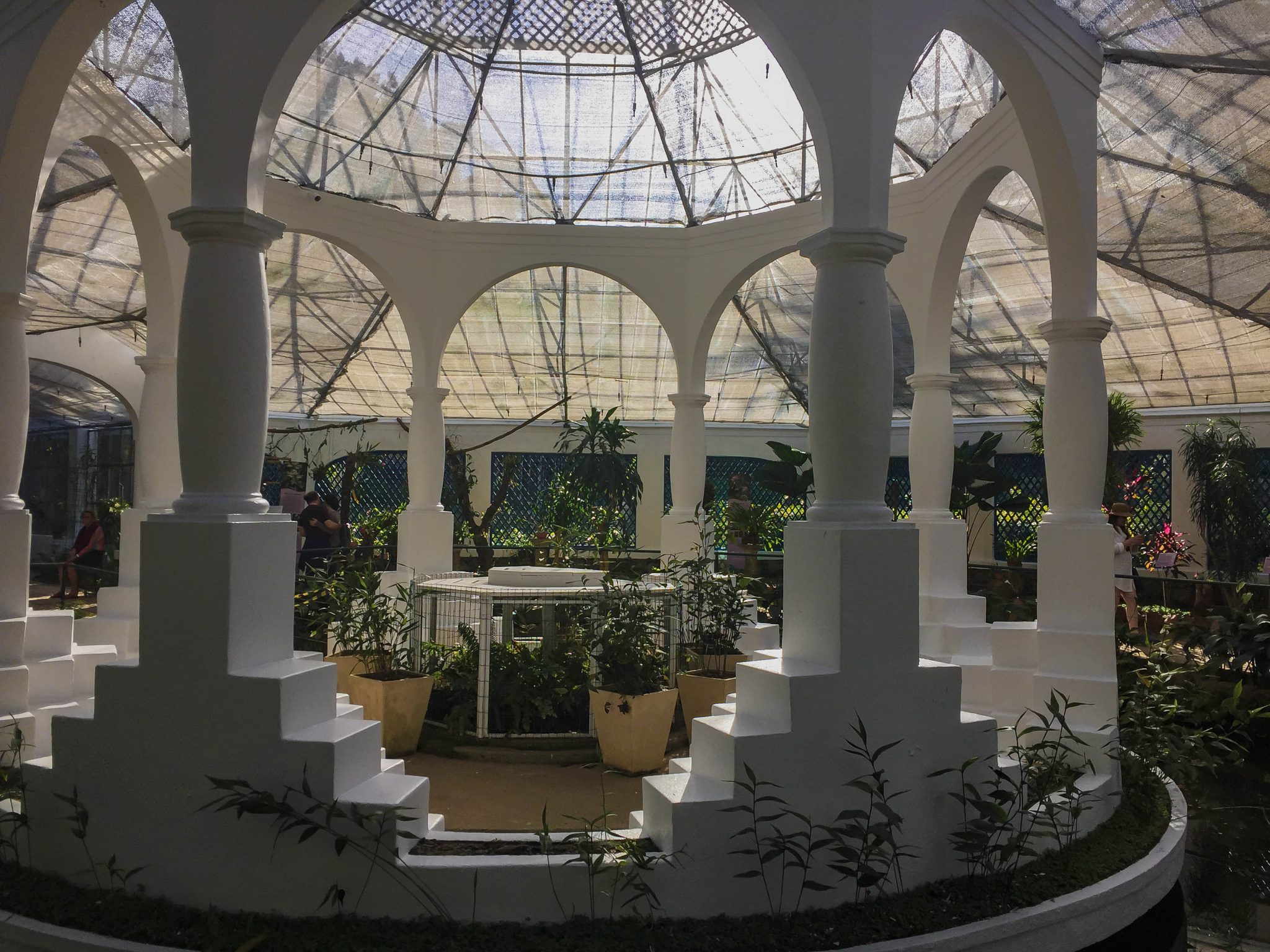 O que fazer no Jardim Botânico - Rio de Janeiro: 04 DICAS INCRÍVEIS